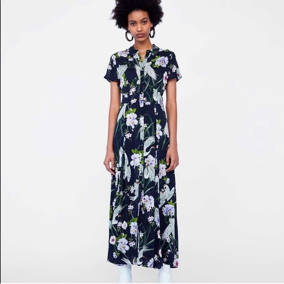ضمني براندي سوبر ماركت zara bird dress 